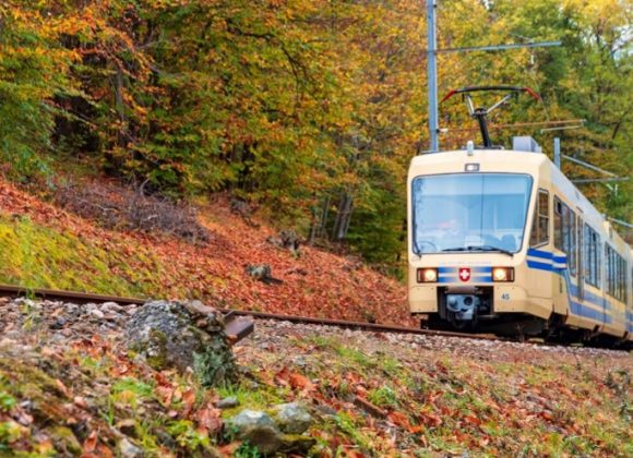 Treno del Foliage: i colori d’autunno da Domodossola Treno del Foliage: i colori d’autunno da Domodossola
